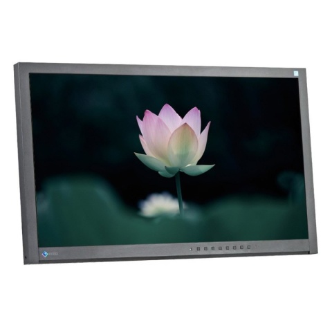 Monitor EIZO 23" EV2315W 1920x1080p TN Bez Uchwytu B