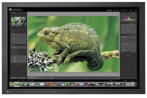 Monitor EIZO 24" CG241W 1920x1200p VA bez uchwytu B